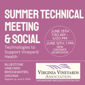 Notice with details for the VVA Summer Technical Meeting on a purple background. 